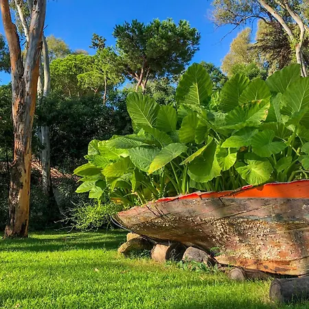 Park - Resort Arbatax
