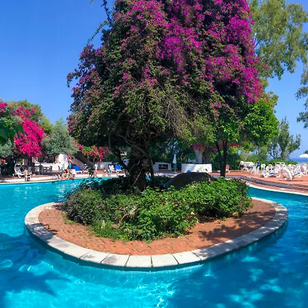 Park - Resort 4*