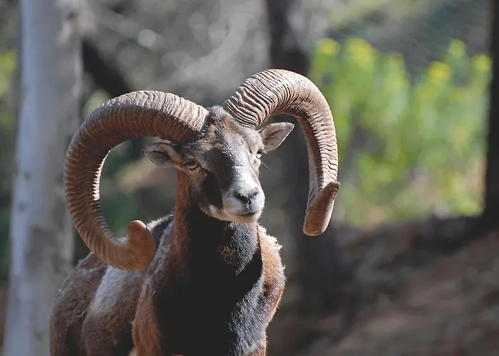 Курортный комплекс Park - 4*