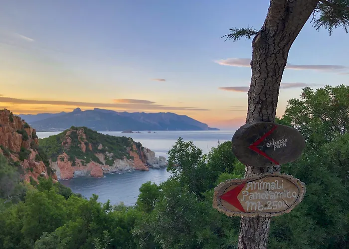 Park - Арбатакс